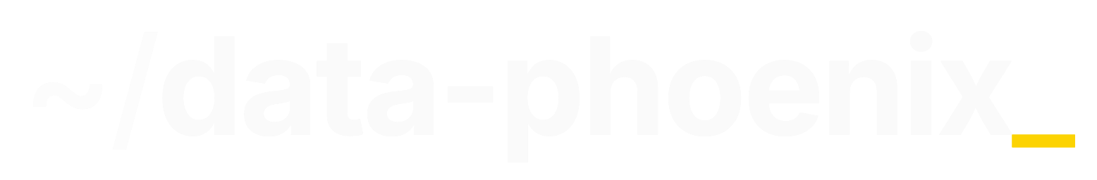 Data Phoenix full logo for dark backgrounds