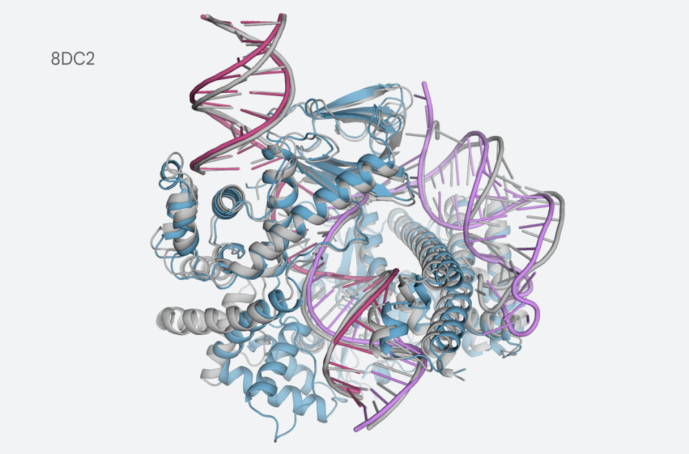 The latest AlphaFold model now covers a variety of biological molecules post image