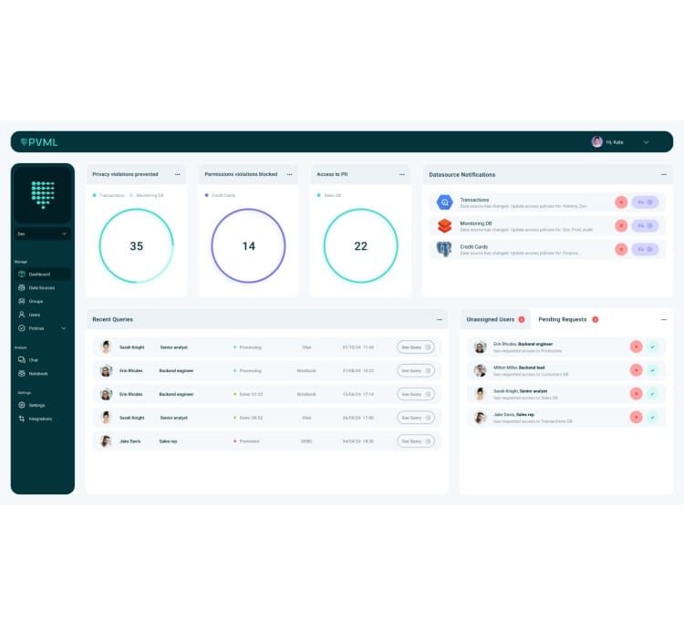 PVML closed its first funding round and launched its Data Access Platform post image