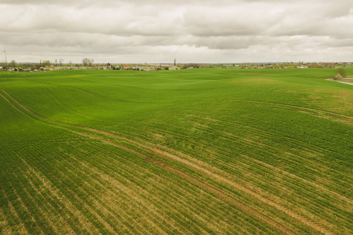 HeavyFinance spearheads the regeneration of 300,000 farmland hectares in Ukraine Post feature image