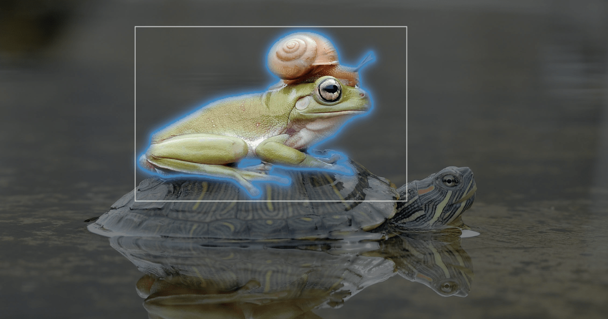 Segment Anything Model