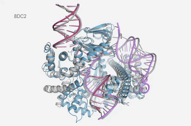 Google DeepMind has made the code and weights for AlphaFold 3 available to researchers post image